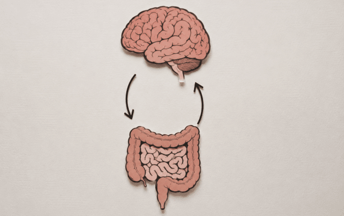 Illustration of the gut-brain connection showing communication between the brain and digestive system