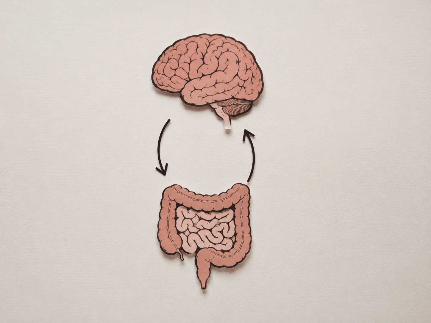 Illustration of the gut-brain connection showing communication between the brain and digestive system
